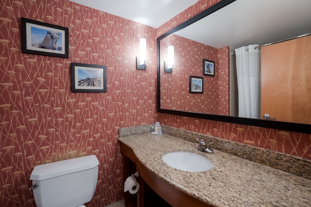 Comfort Suites Suffolk Chesapeake 46/47