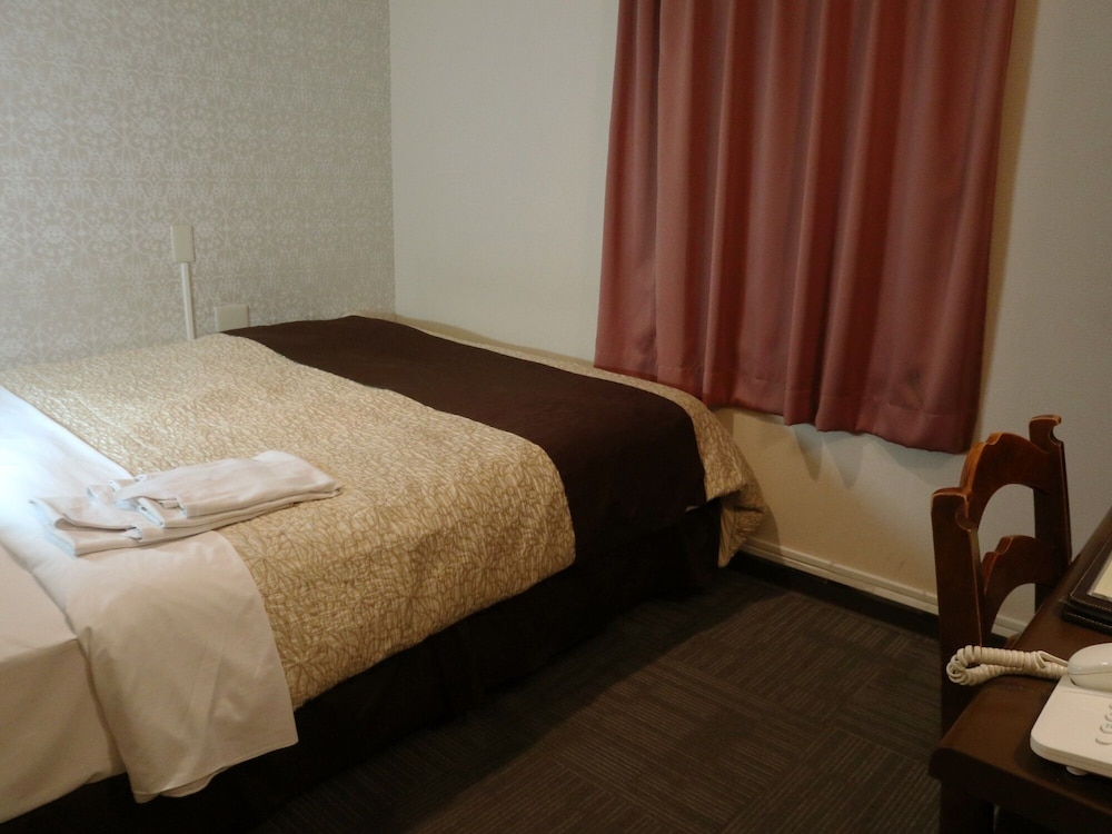 Hamamatsu Station Hotel 6/25
