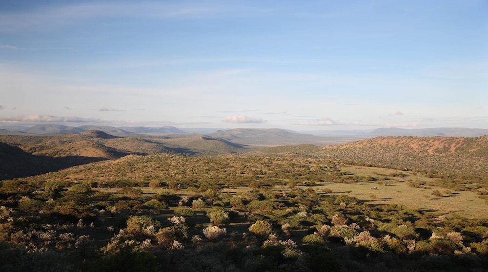 Olarro Plains - All Inclusive 26/50