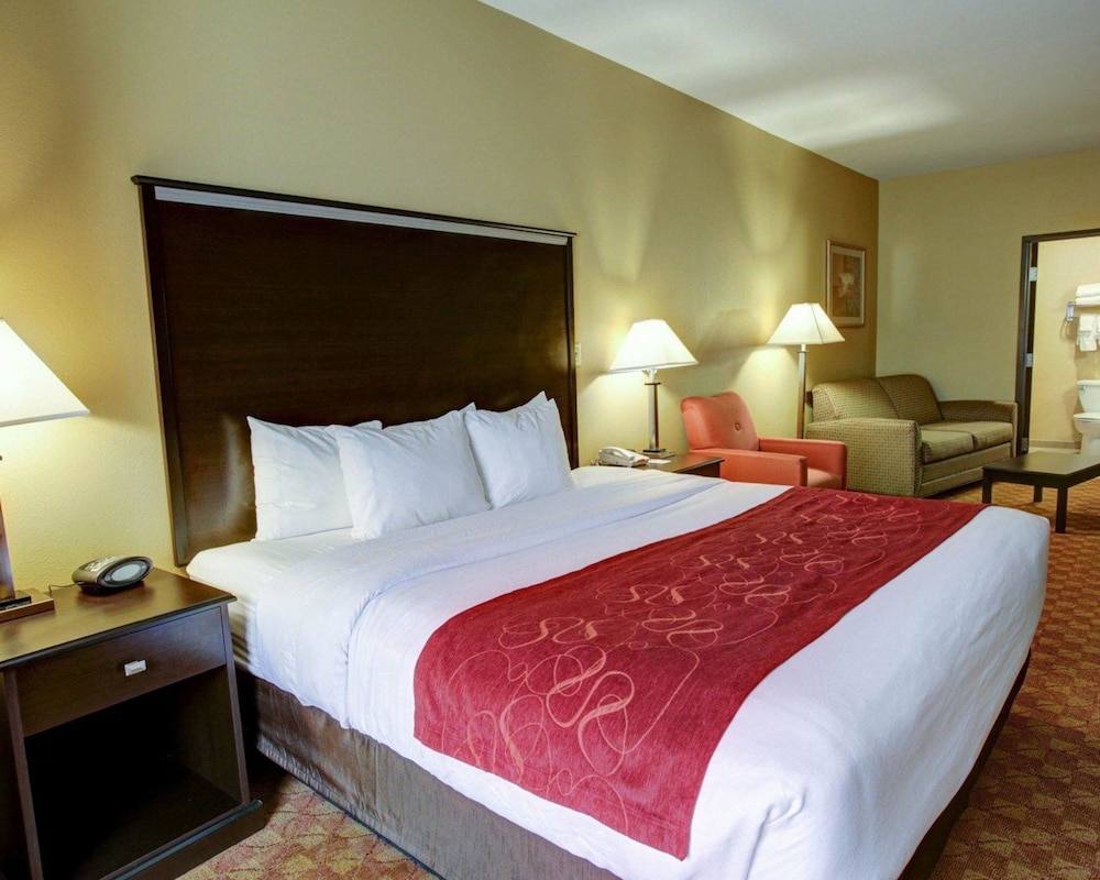 Comfort Suites Old Town Spring, TX 16/44