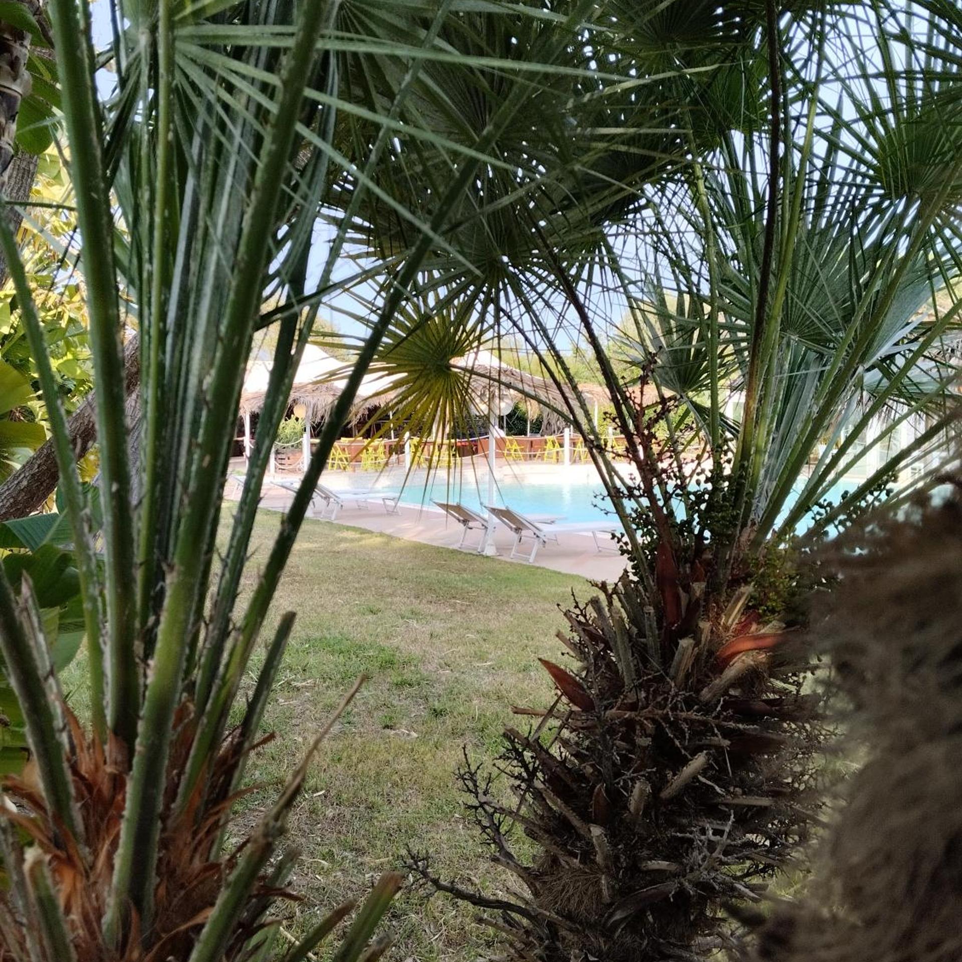 Hotel Valle Di Mare Resort 55/55