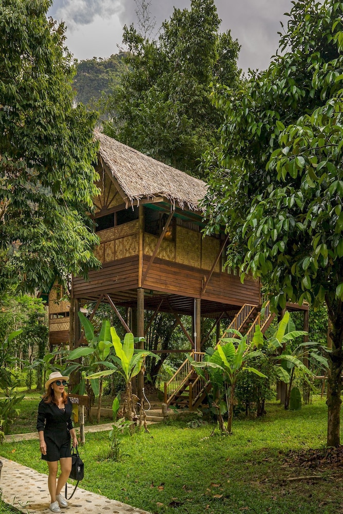 Our Jungle Camp - Eco Resort 6/75