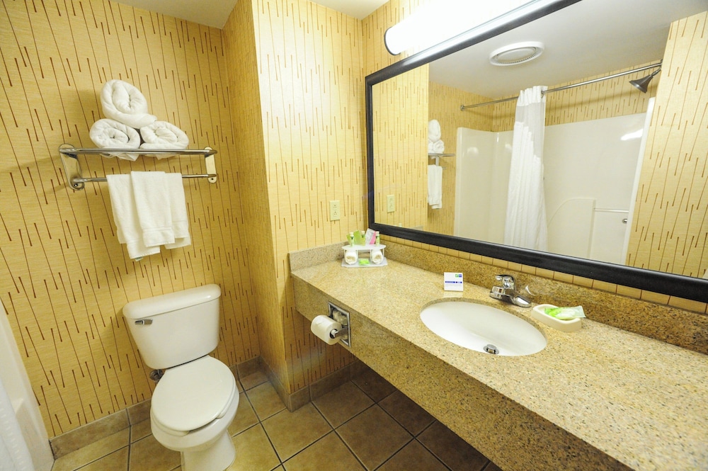 Holiday Inn Express Hotel Suites Bowling Green 55/62