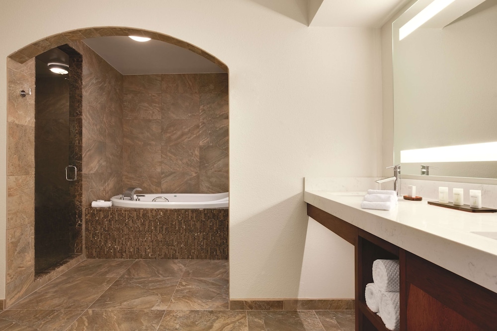 Embassy Suites by Hilton Scottsdale Resort 21/63