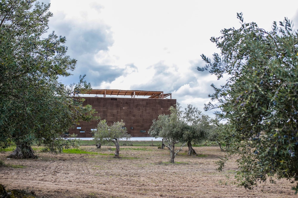 The Lince Ecorkhotel Evora 6/66
