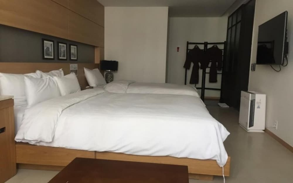 Hotel Cacao Business Design Hotel 17/50