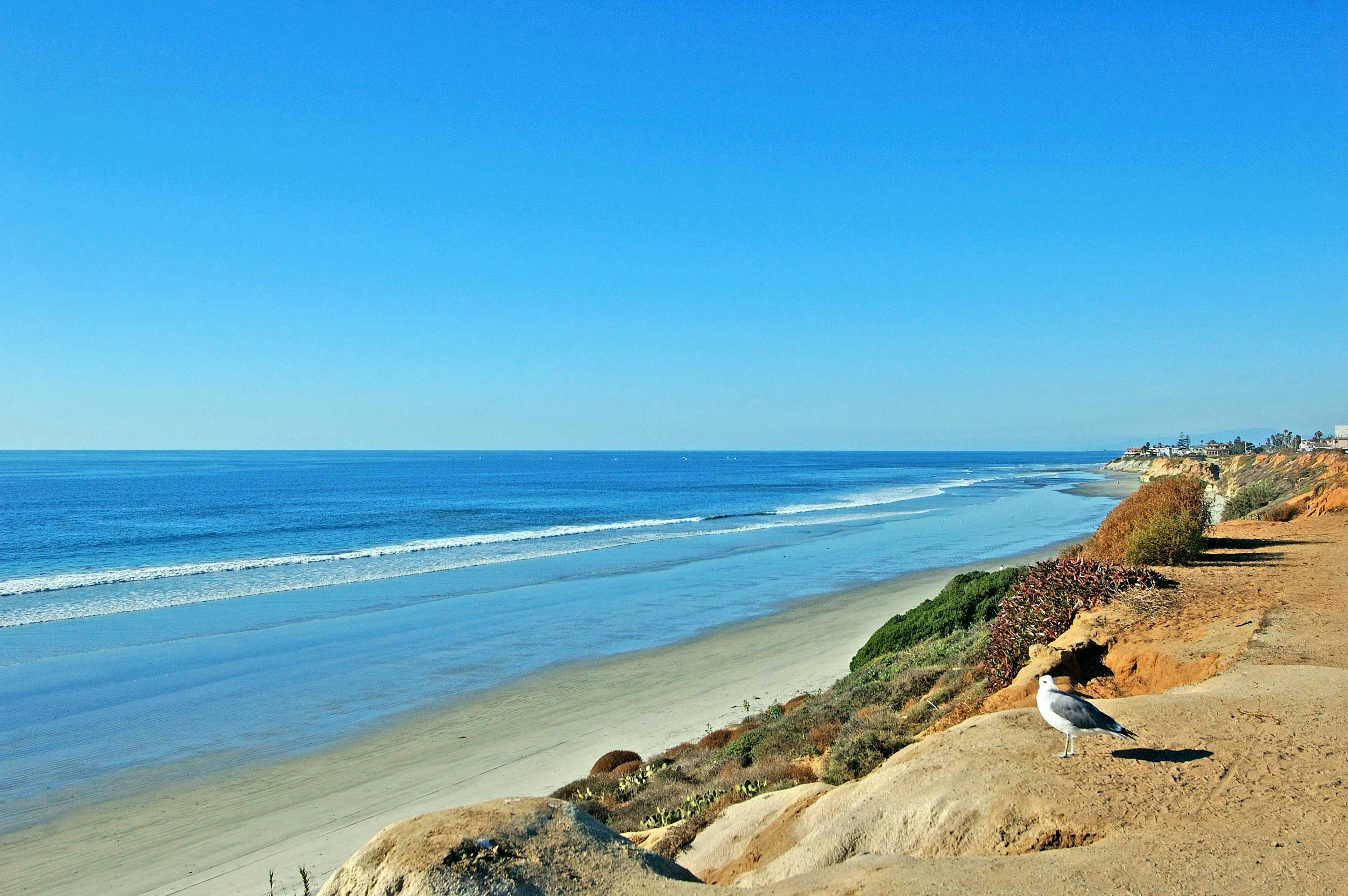 Cape Rey Carlsbad Beach, a Hilton Resort and Spa 68/77