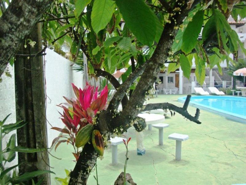 Hotel Pousada Terras Do Sem Fim 46/51
