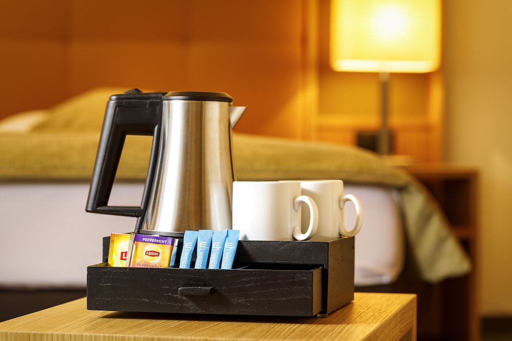 Ramada by Wyndham Baden du Parc 43/74
