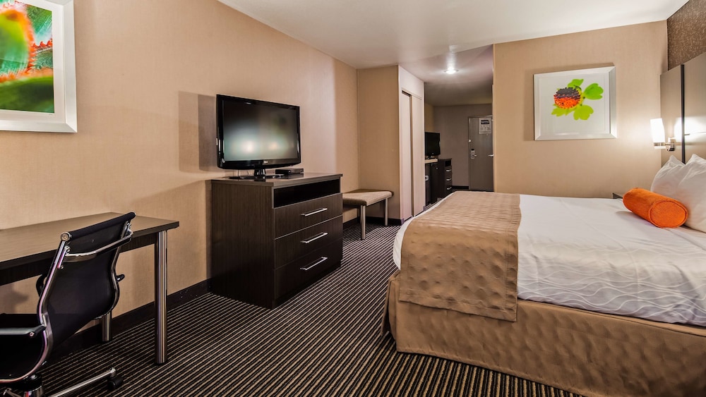 Best Western Plus Rama Inn & Suites 8/34