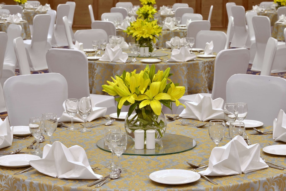 Radisson Chandigarh Zirakpur 46/64