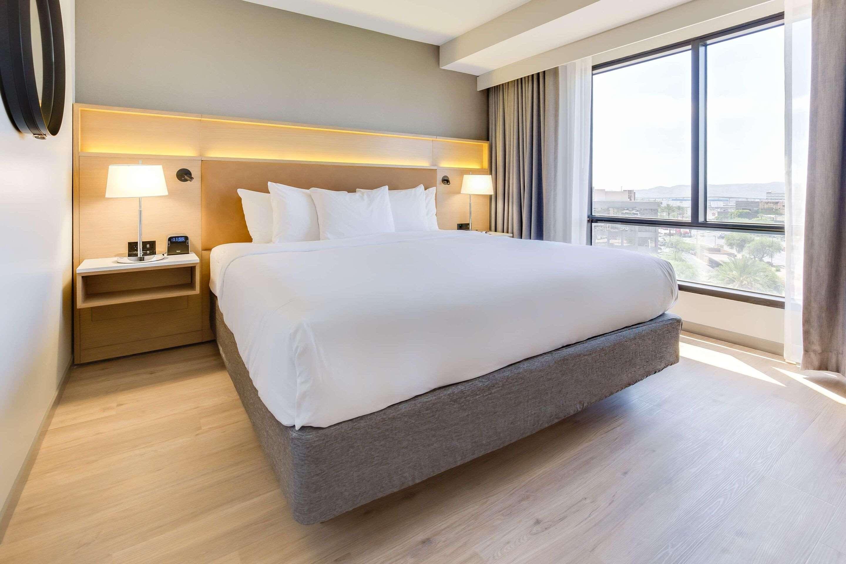 SUITE, KING BED