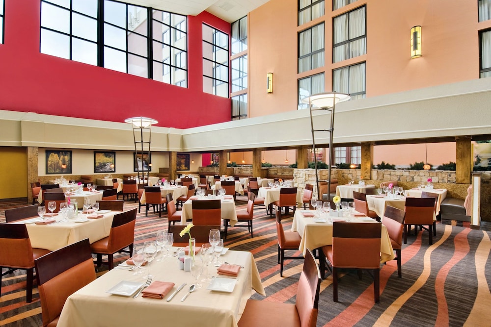 Crowne Plaza Denver Airport Convention Ctr, an Ihg Hotel 26/41