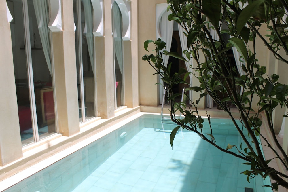 Riad Nafis 7/25