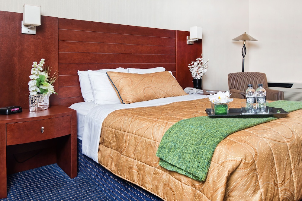 West Edmonton Mall Inn 12/55