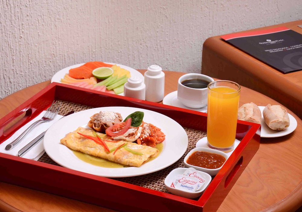 Guadalajara Plaza Expo Business Class 39/50