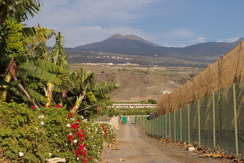 El Navio 18/21