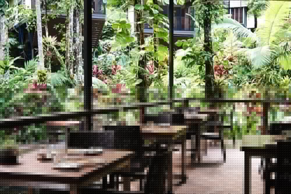 Daintree Ecolodge 34/50