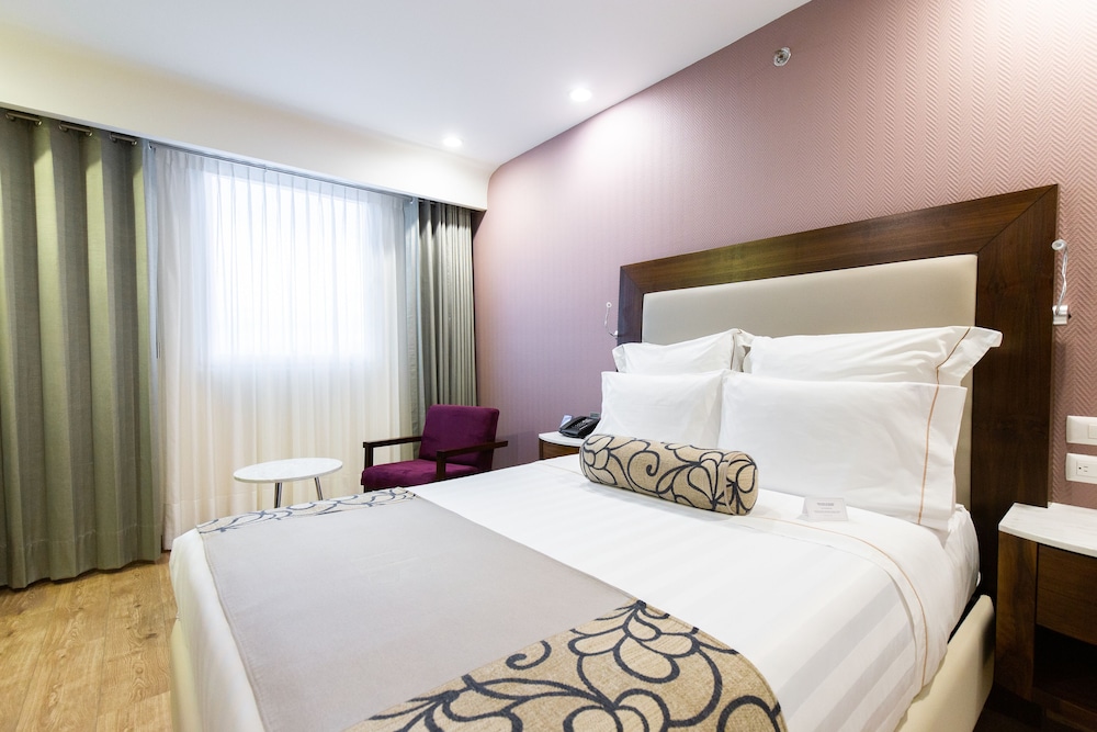 Hs Hotsson Hotel Queretaro 23/56