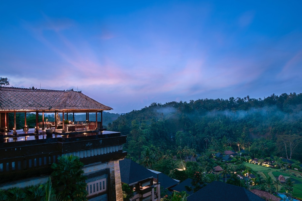 曼达帕丽思卡尔顿酒店(MANDAPA A RITZ CARLTON RESERVE) 图片4