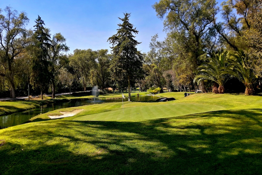 Hotel Real del Bosque 34/36