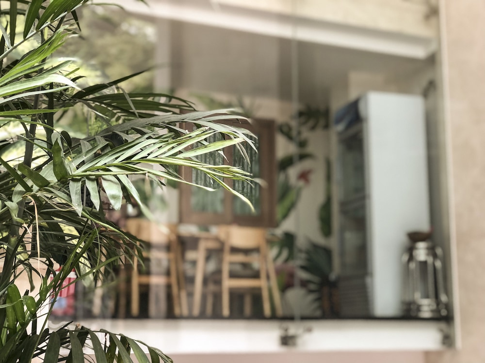 Tropical House 14/50