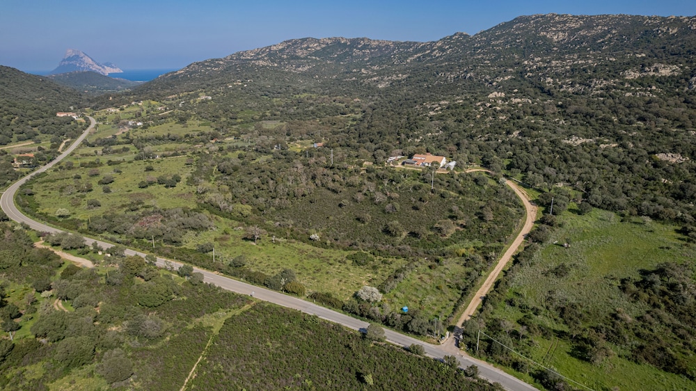 The Old Farm Asfodeli - Adults Only 23/28