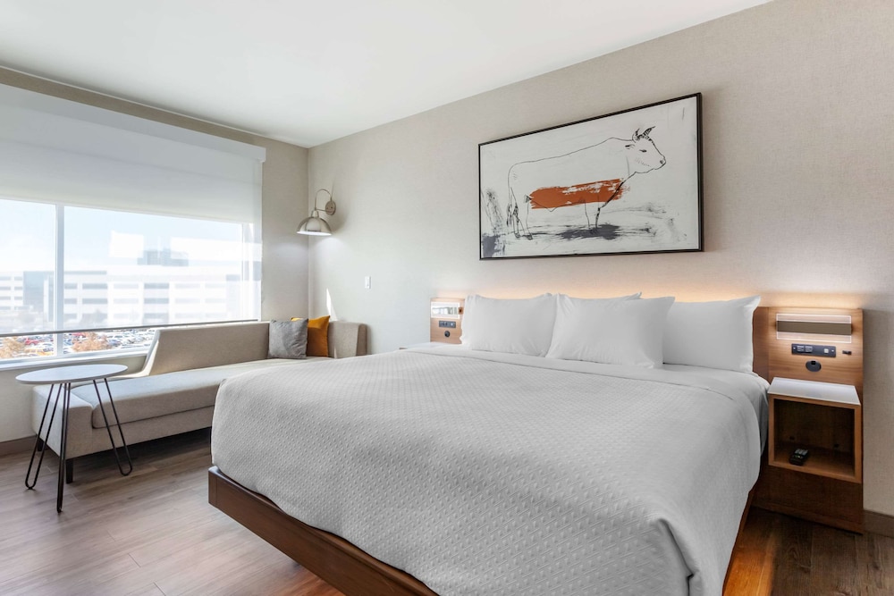 Cambria Hotel Richardson Dallas 16/50