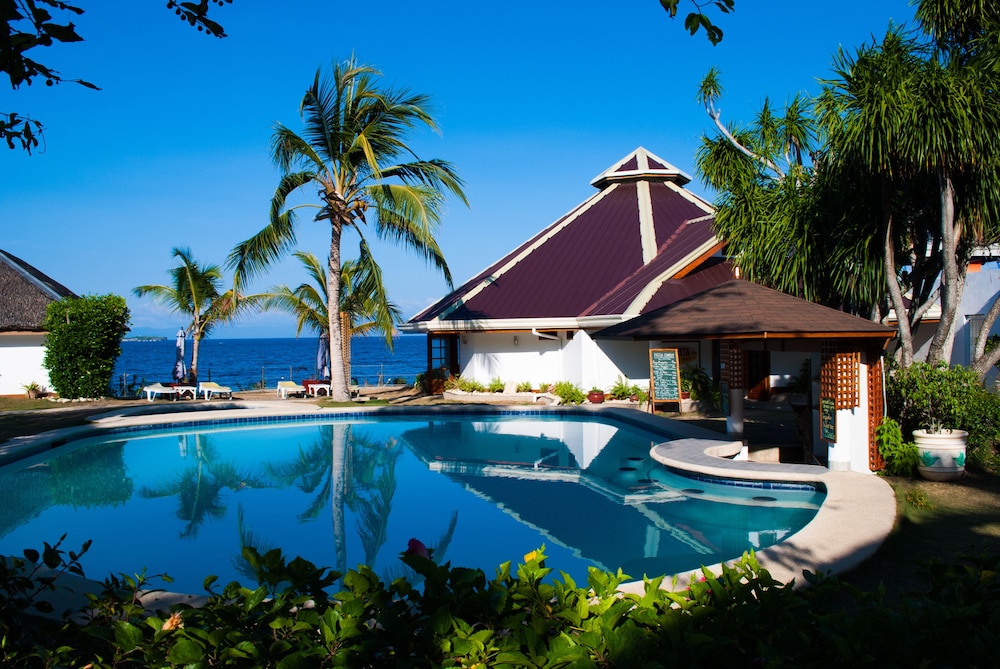 Quo Vadis Dive Resort 4/77