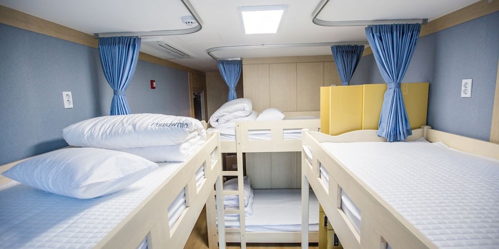 Paulownia Hostel & Guest House 16/50