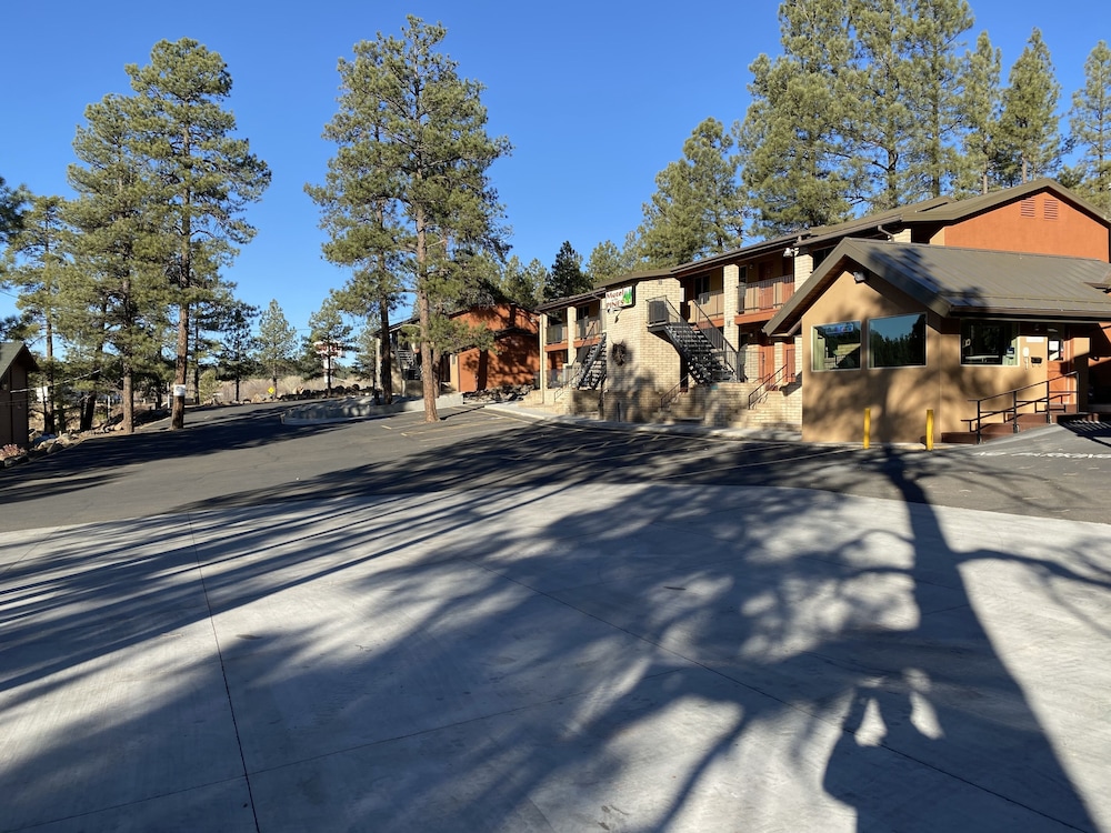 Motel In The Pines 18/41