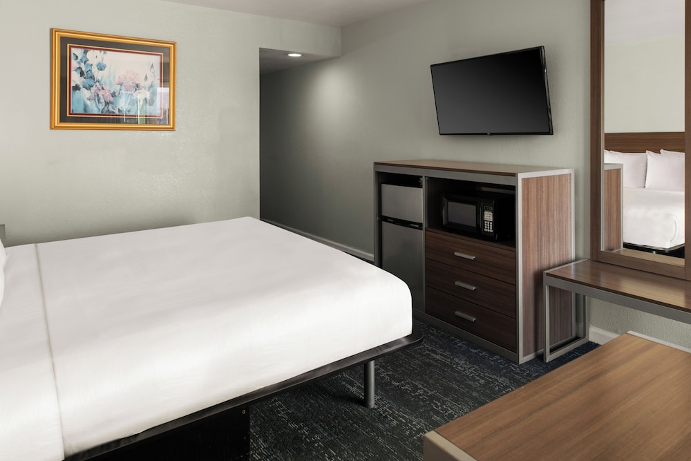 Room, Queen Bed