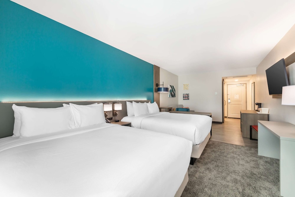 BASIC, SUITE, MULTIPLE BEDS