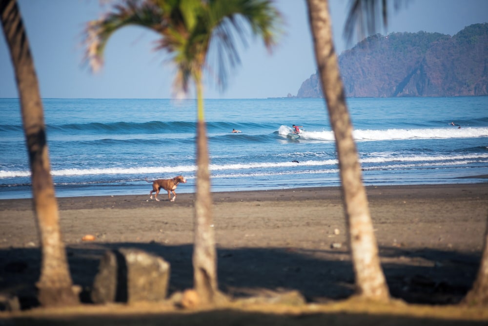 Beach Break Resort 57/75