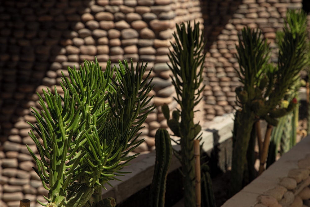Terrantai Lodge 58/68