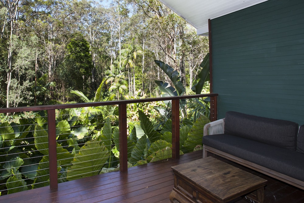 Songbirds Rainforest Retreat 25/50
