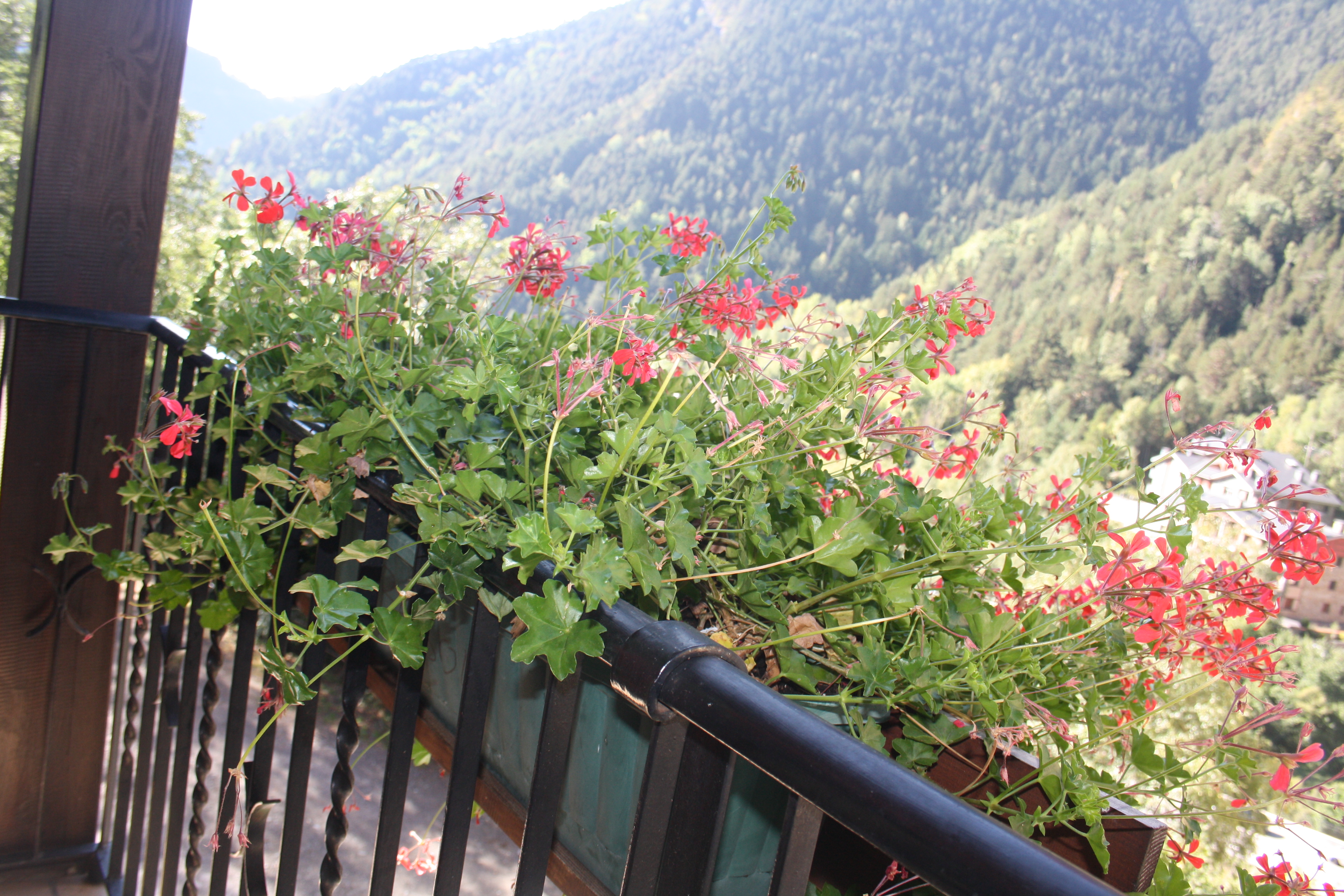 Hotel Xalet Besoli 34/40