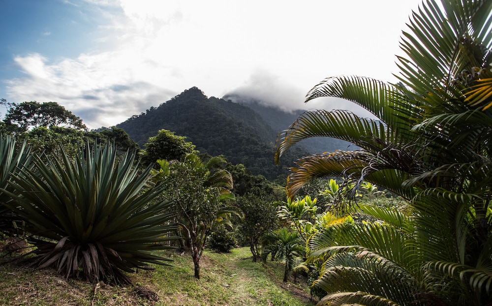 Omega Tours Adventure Company And Eco Jungle Lodge 38/50