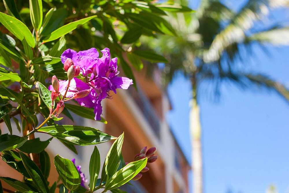 Bella Mare Beachside Apartments 38/77