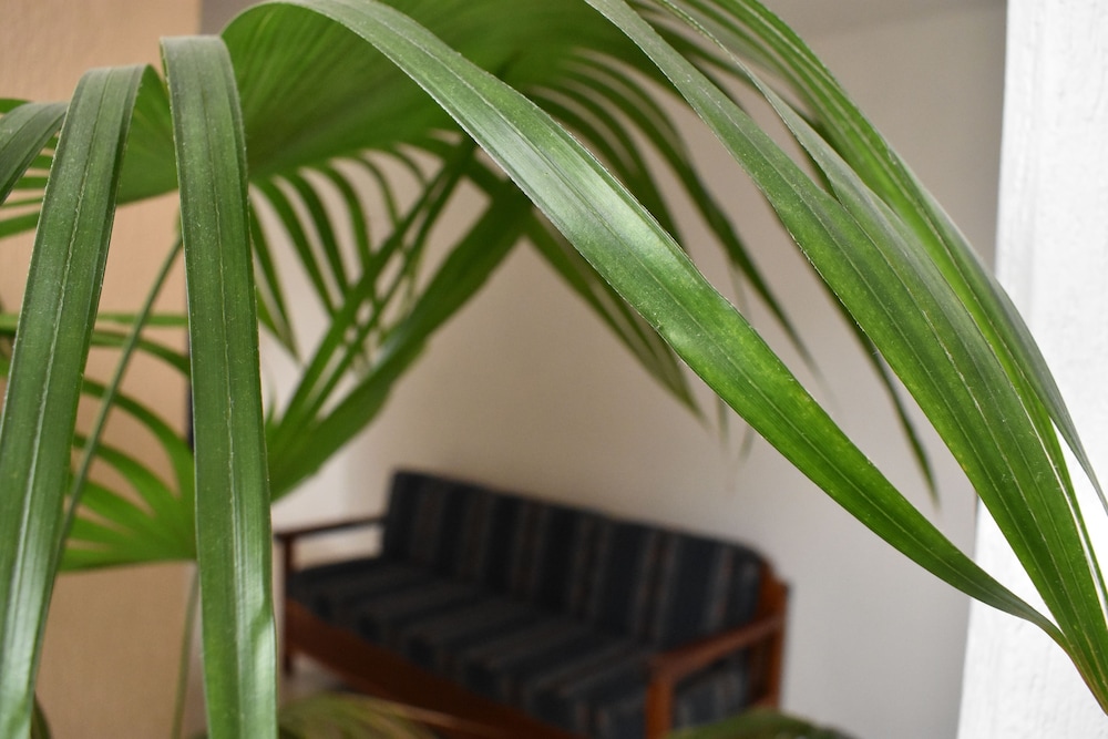 Hotel Baluarte photo4