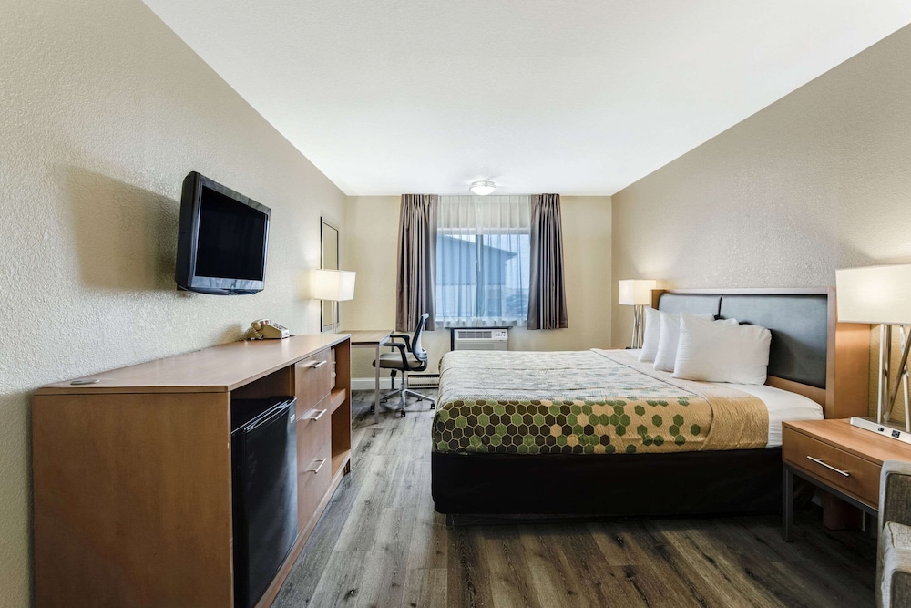 ROOM, KING BED, ACCESSIBLE