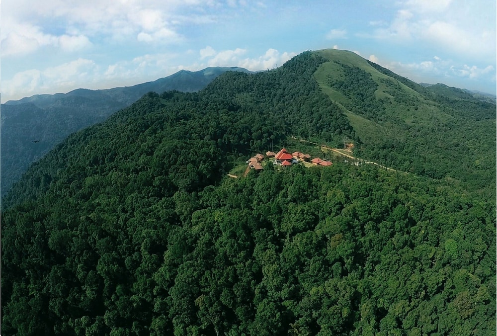 Wild Planet Jungle Resort 33/50