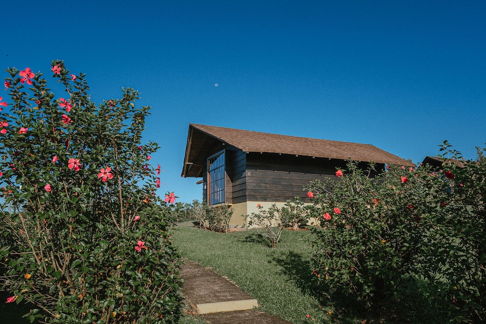 Campo Verde 3/46