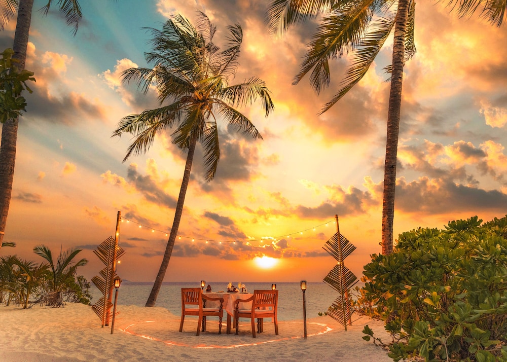 Furaveri Maldives 63/67