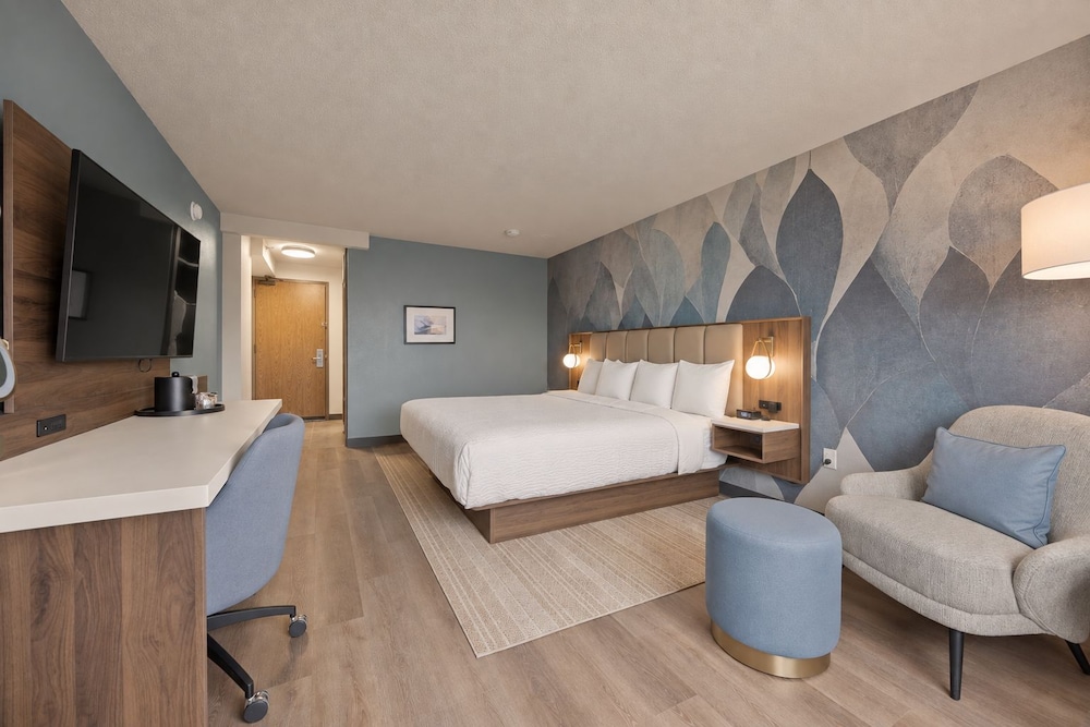 Room, King Bed