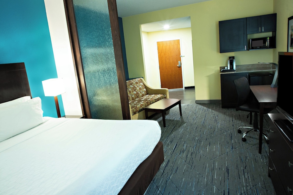غرفة قياسية بسرير كينج، Holiday Inn Express & Suites Harrisburg W - Mechanicsburg 4/10