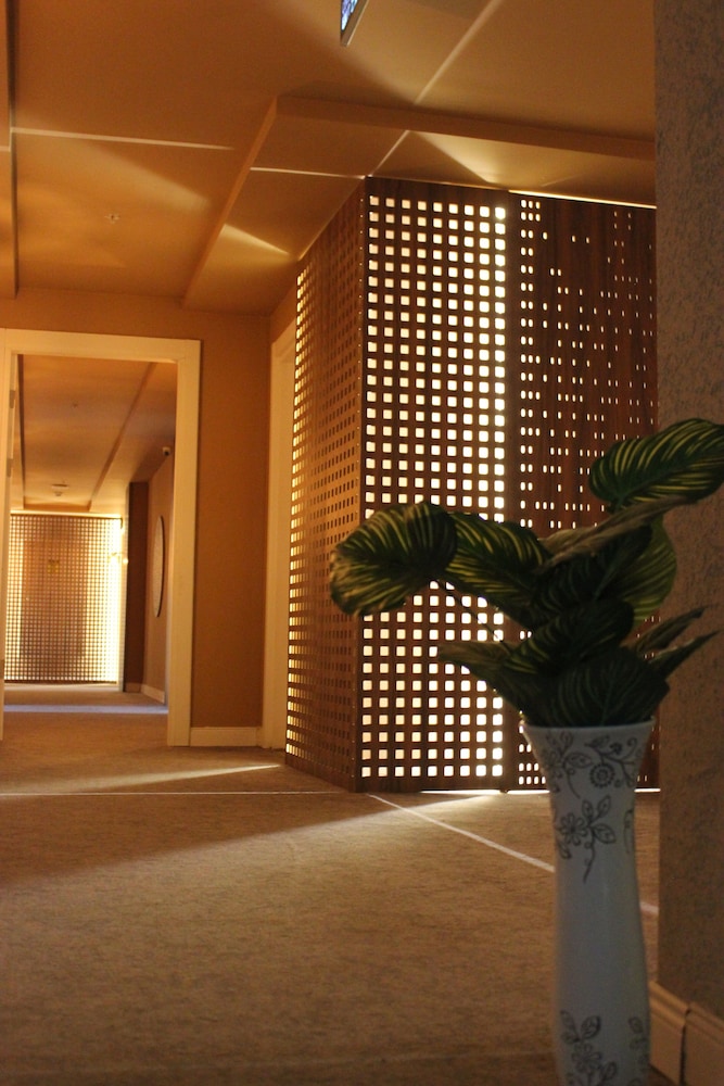 Bonnie City Hotel 26/50