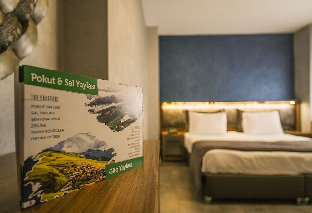 Green Hotel 24/51