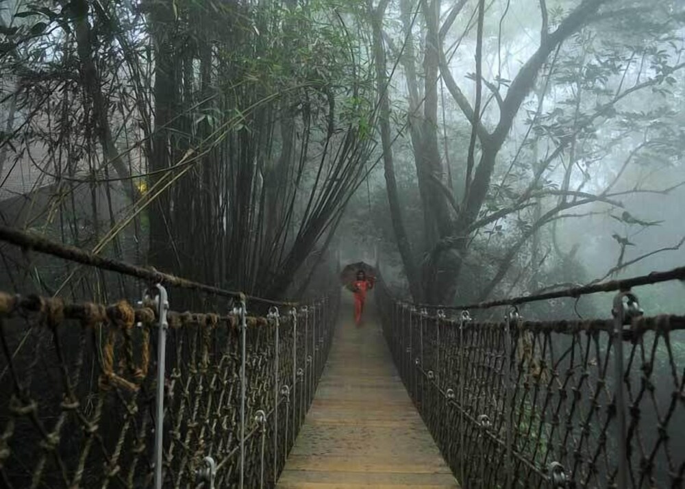 VYTHIRI RESORT 51/55