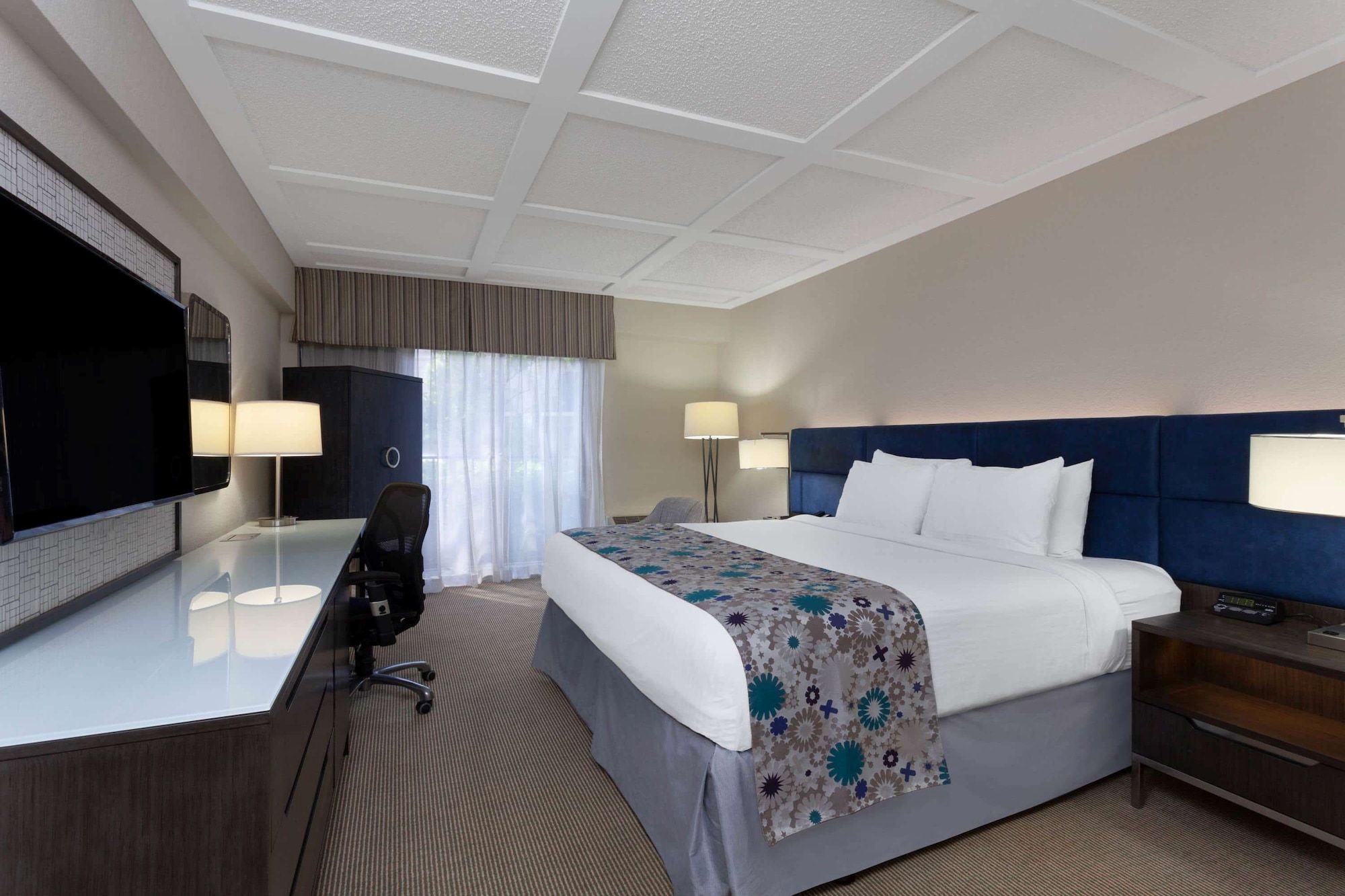 Room, King Bed, Accessible